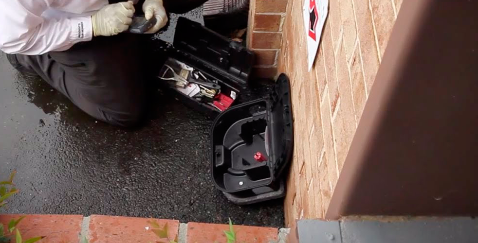 Desratizacion profesional - Fumigacion Sanitas